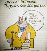 Le_chat_piano_3