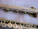 Fltes_2