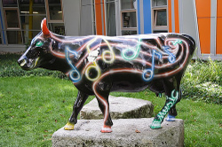 Music_cow