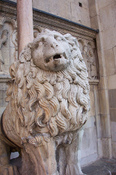 Modne_lion_2