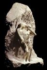 Orphe_eurydice_rodin